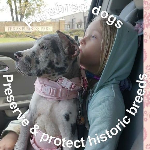 Meet your Posher, Tonya - Picture 1 of 1